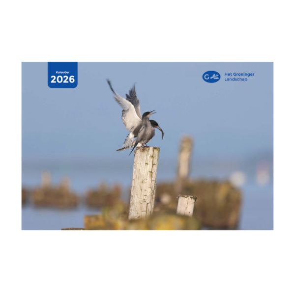 Kalender 2026 - pre-order